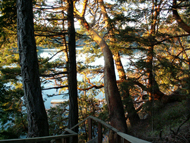 Oceanfront View