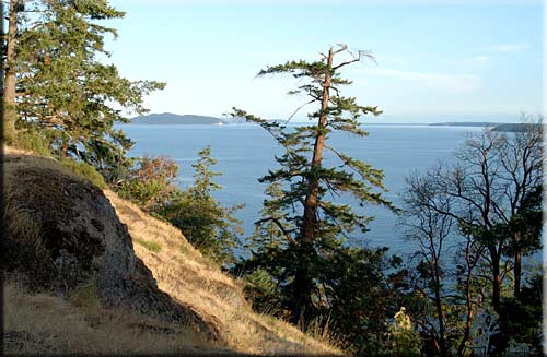 Sea Sound Haven Vacation Rental