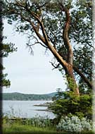 Galiano Waterfront Retreat, Galiano Island