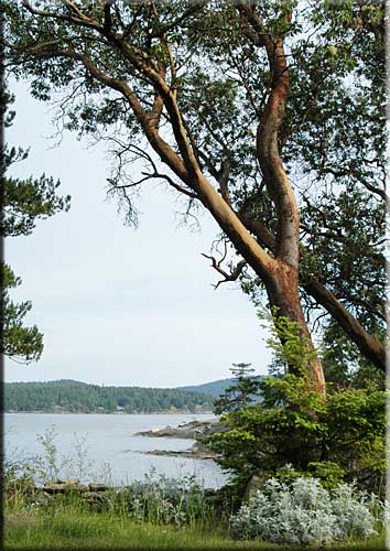 Galiano Waterfront Retreat, Galiano Island Island Accommodation