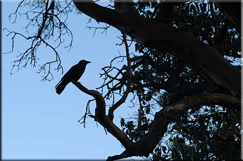 Galiano Waterfront Retreat, Galiano Island Island Accommodation