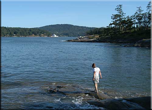 Galiano Waterfront Retreat, Galiano Island Island Accommodation
