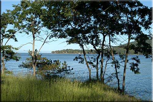 Galiano Waterfront Retreat, Galiano Island Island Accommodation