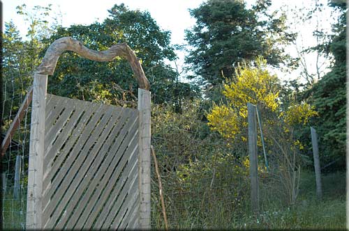 Galiano Waterfront Retreat, Galiano Island Island Accommodation