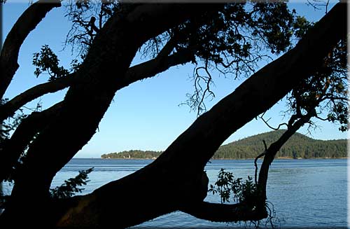Galiano Waterfront Retreat, Galiano Island Island Accommodation