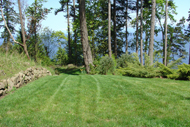 Gabriola Georgia View Estate Lawn