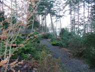 Gabriola Georgia View Estate Wooded Path