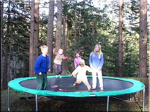Sea Changes Cottage, Lasqueti Island Accommodation