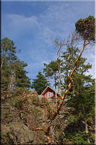 Sea Changes Cottage, Lasqueti Island Accommodation