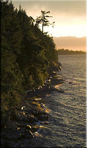 Lasqueti Wilderness, Lasqueti Island luxury waterfront accommodation, British Columbia, Canada