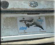 Driftwood Waterfront Cottage, Mudge