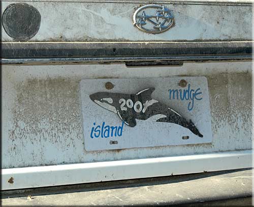 Driftwood Waterfront Cottage, Mudge Island Accommodation