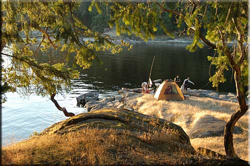 Driftwood Waterfront Cottage, Mudge Island Accommodation