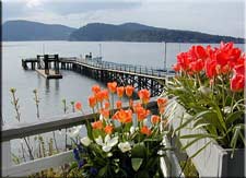 Galiano Dock
