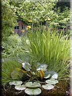 Rugosa Cottage, North Pender