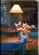 Rugosa Cottage, North Pender