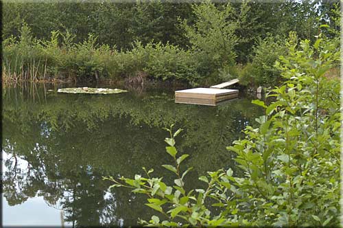 Enchanted Cottage, Salt Spring Island Accommodation