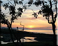 Saturna Island Sunset