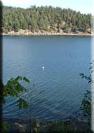 Seadrift, South Pender