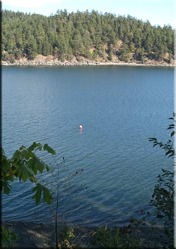 Seadrift, South Pender Island Accommodation
