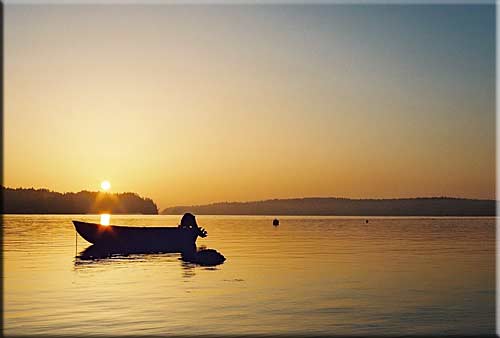 Seafern Cottage, Mudge Island Accommodation