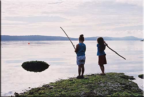 Seafern Cottage, Mudge Island Accommodation
