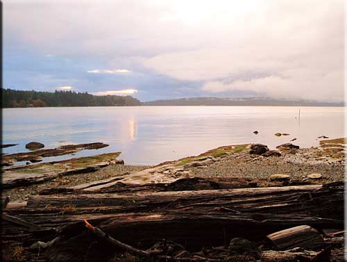 Seafern Cottage, Mudge Island Accommodation
