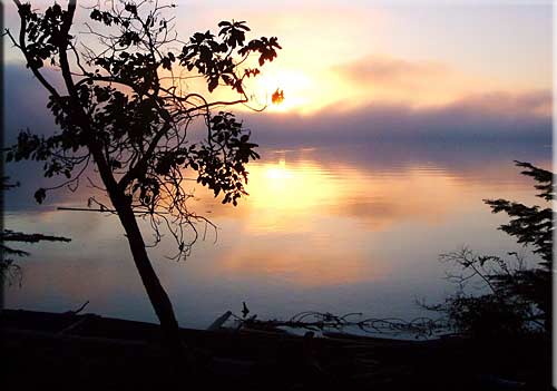 Seafern Cottage, Mudge Island Accommodation