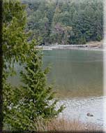 Shingle Bay Beach View