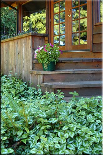 South Pender Island - <NULL>