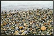 Beach pebbles, Roberts Creek