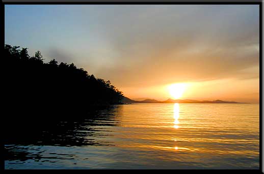 Cabbage & Tumbo Island - Cabbage Island sunset