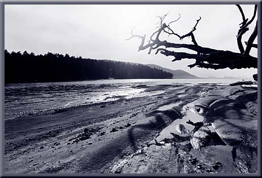 Cabbage & Tumbo Island - The rocky beaches of Cabbage Island