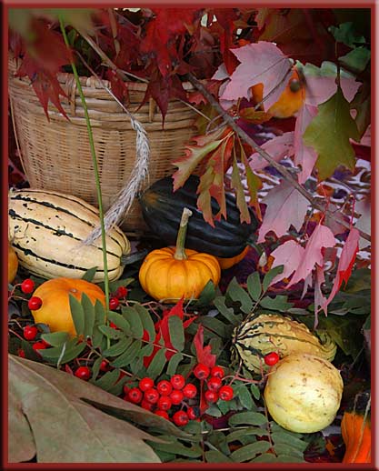 Gulf Islands - Have a great Canadian Thanksgiving