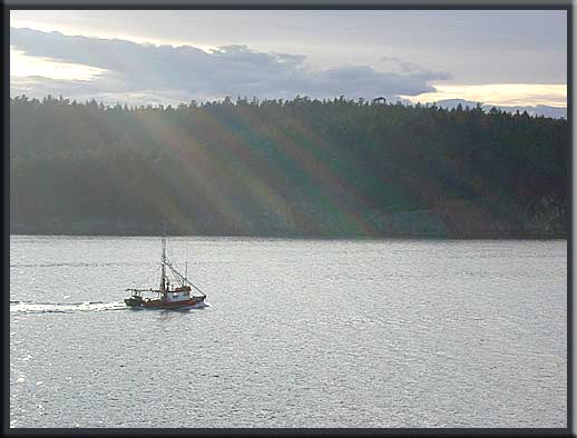 Salt Spring Island - Heading north through Swanson Channel
