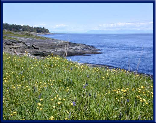Galiano Island - Spring wildflowers at Bellhouse Park