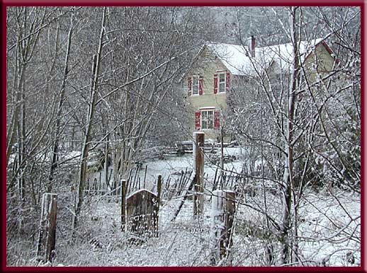 North Pender Island - Spring is here