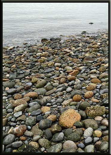 Gulf Islands - Beach pebbles