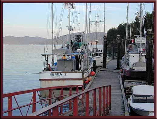 North Pender Island - Boats tied up at the wharf in Hope Bay