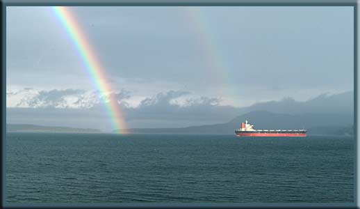 North Pender Island - Spring rains have arrived and the bulbs are beginning to bloom