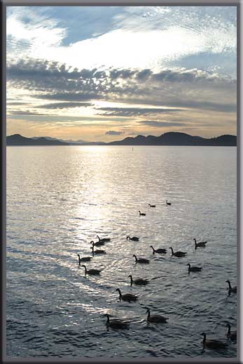 Saturna Island - Another beautiful British Columbia sunset