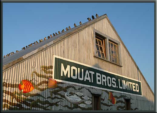Salt Spring Island - Mouat Brothers Limited, Ganges