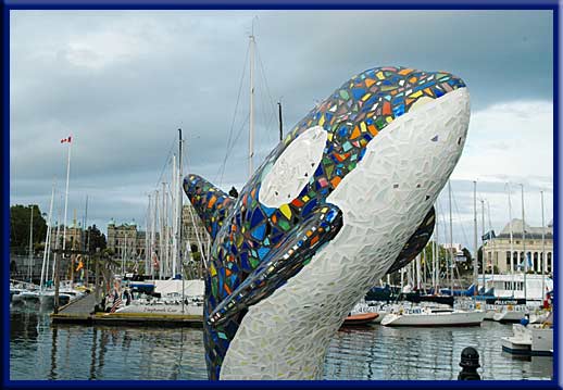 Vancouver Island - Colourful Orca, Victoria