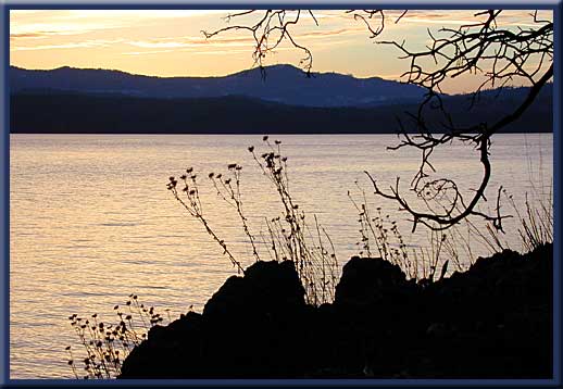 North Pender Island - Winter light at Roesland