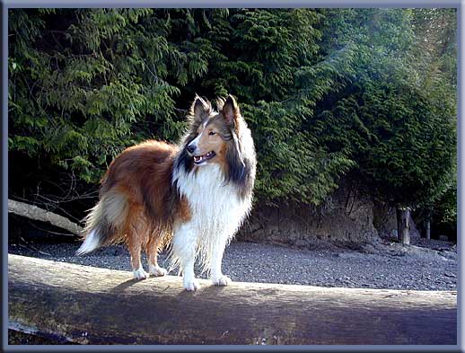 Gulf Islands - Life's a beach