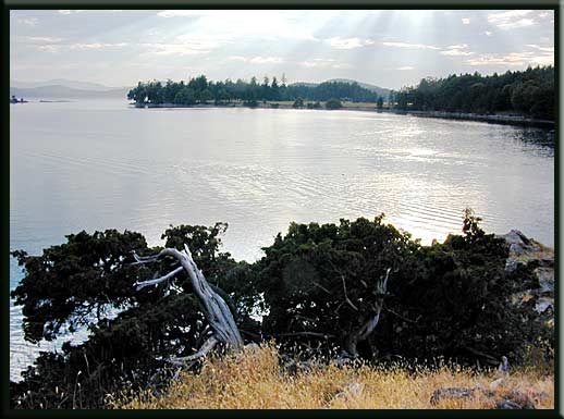 Saturna Island - Winter Cove