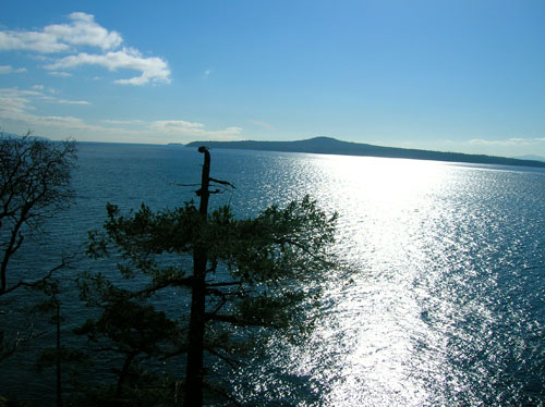 Whale Watch, North Pender Island Accommodation
