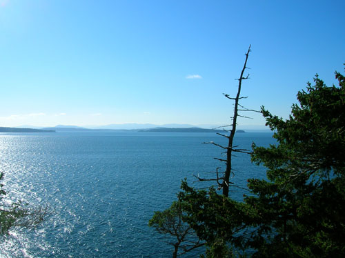 Whale Watch, North Pender Island Accommodation