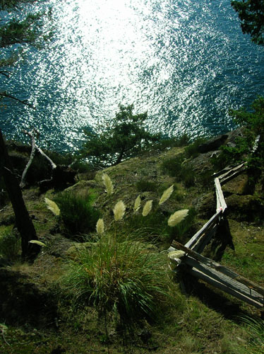 Whale Watch, North Pender Island Accommodation