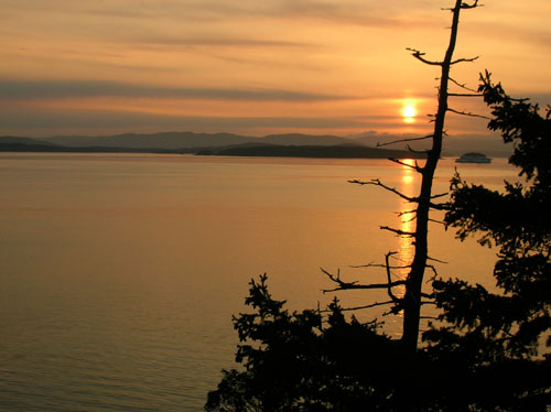 Whale Watch, North Pender Island Accommodation